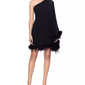 NWT Betsy and Adam Asymmetrical Feather Trimmed Dress
